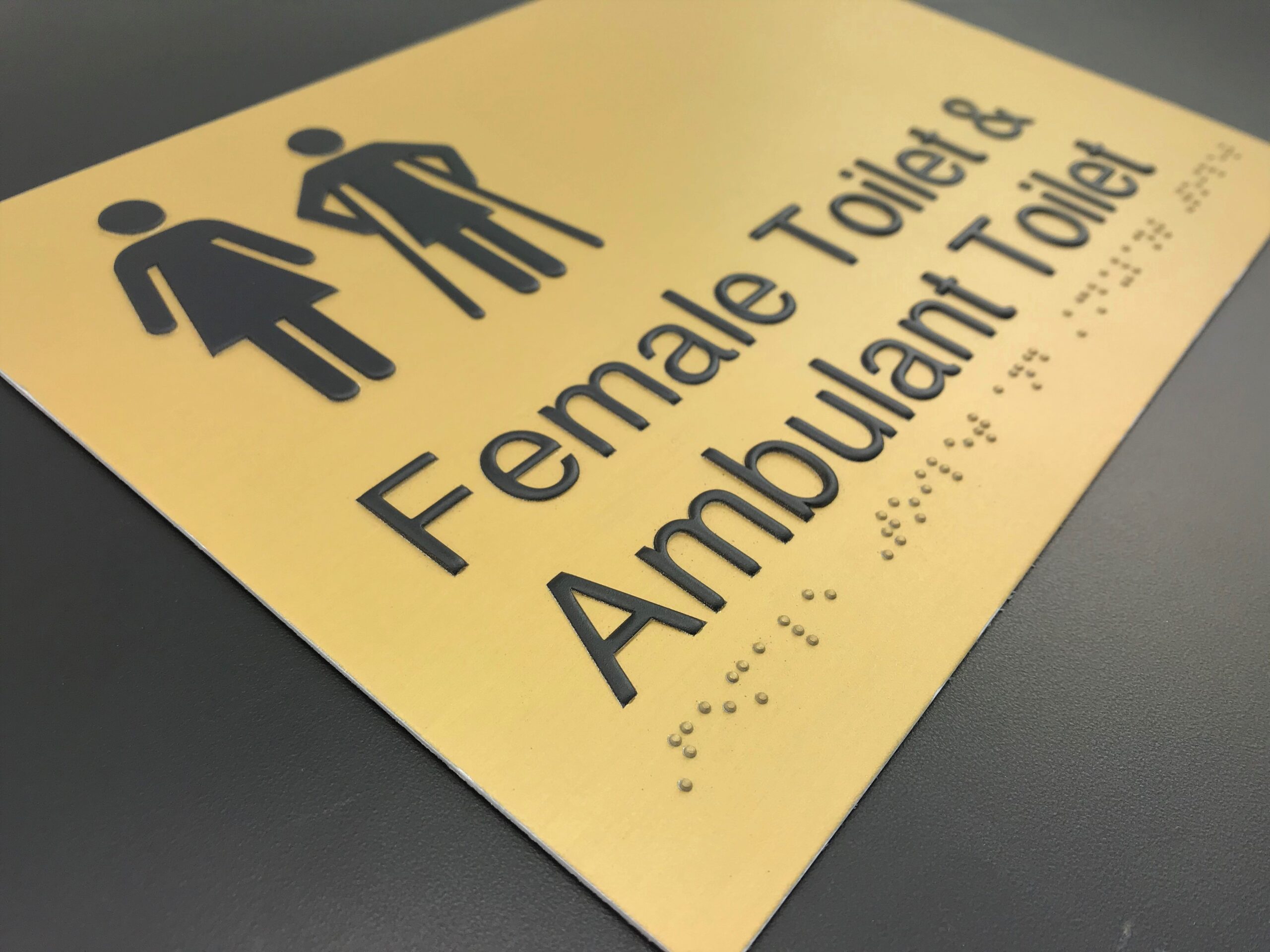 Female Toilet & Ambulant Toilet Satin Brass Braille Sign