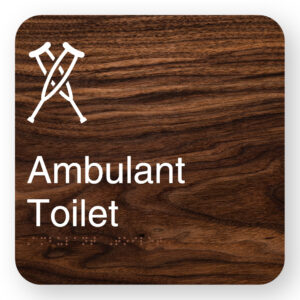 Ambulant Toilet