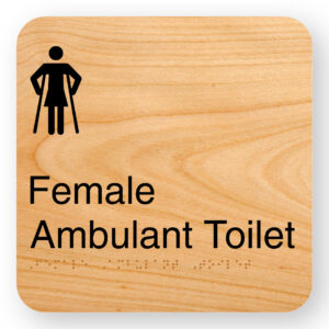 Female Ambulant Toilet - Image 1