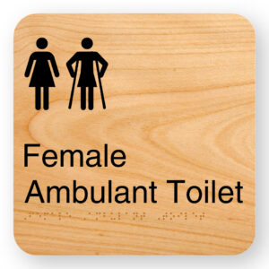Female Ambulant Toilet - Image 1