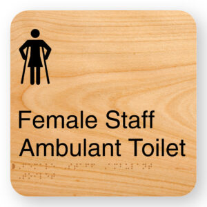 Female Staff Ambulant Toilet - Image 1