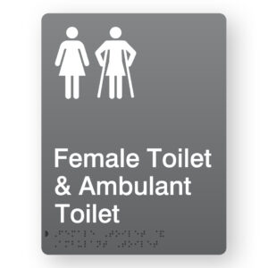Female Toilet & Ambulant Toilet - Image 1