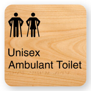 Unisex Ambulant Toilet - Image 1