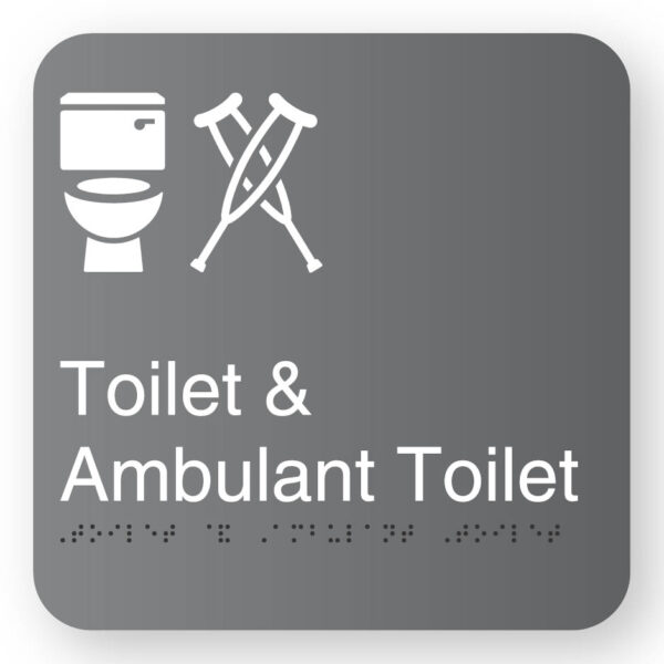 Toilet & Ambulant Toilet (SKU - BFS - TAT) Grey