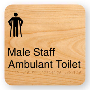 Male Staff Ambulant Toilet - Image 1